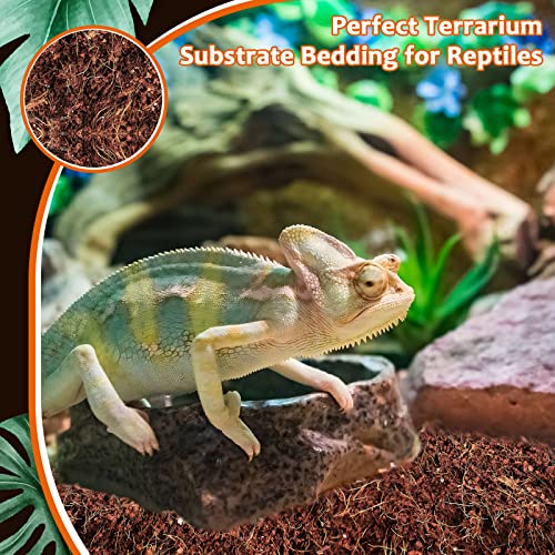 2 Pack Natural Coconut Fiber Substrate (2 Pack)
