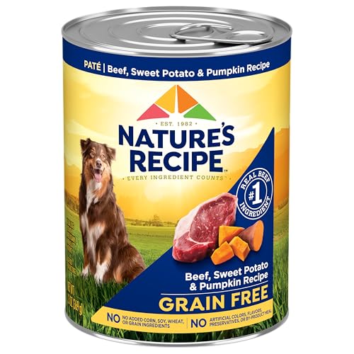 Nature’s Recipe Grain Free Beef Wet Dog Food