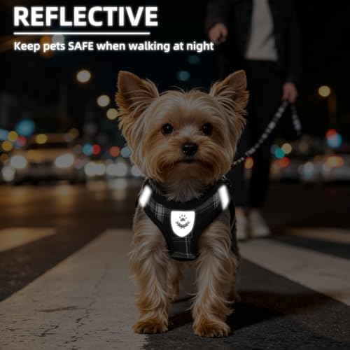 Dog Harness Collar and Leash Set No Pull for Small Medium Sized (Black / XS (CHEST 13"-14.5"))