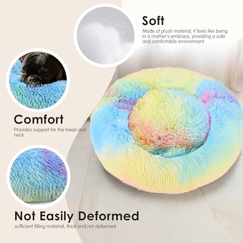 28in Large Dog Bed (Rainbow / 28.0"L x 28.0"W x 8.0"Th)