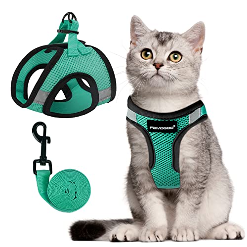 Cat Harness and Leash Set (Green / M(Chest 10-12"))