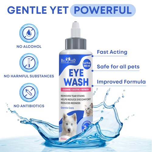 Dog Eye Drops & Eye Infection Treatment for Dogs and Cats