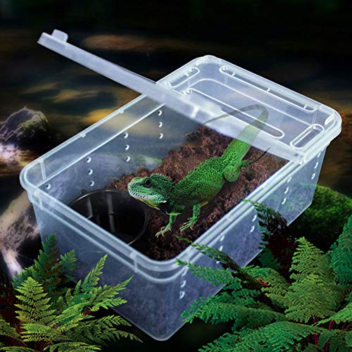 Portable Reptile Terrarium Habitat for Mini Pet Houses Breathable Holes Stackable Container (1PCS-Clear-XS)