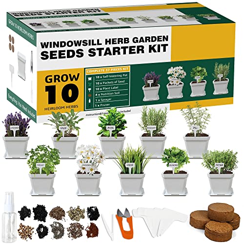 10 Herb Seeds Garden Starter Grow Kit with White Pots (White)
