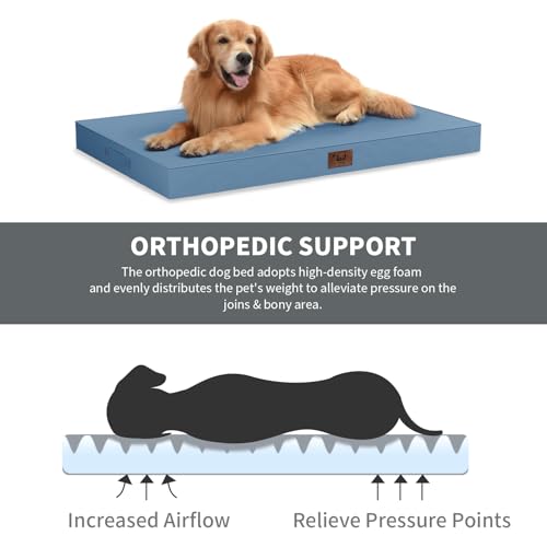 Waterproof Orthopedic Dog Crate Bed for Small Dogs & Cats (Blue / 23.0"L x 17.0"W x 2.5"Th)
