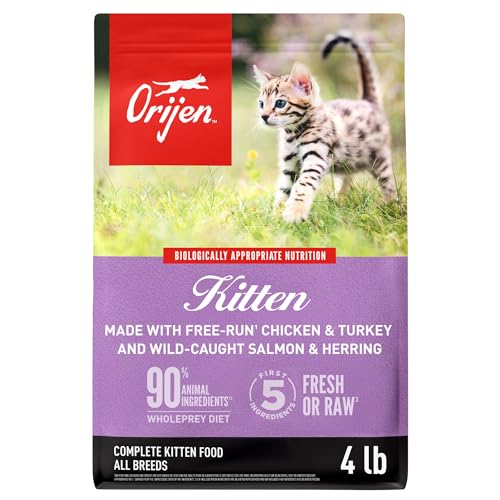Grain Free WHOLEPREY Dry Cat Food Kitten Recipe 4lb Bag (4 Pound (Pack of 1))
