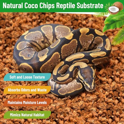 4Pack Coconut Husk Chip for Reptiles (4 pack)