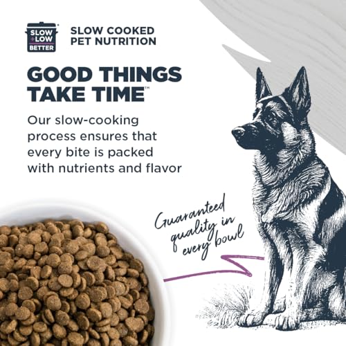 Sensitive Premium Dry Dog Food (Salmon Meal & Brown Rice with Ancient Grains / 4.5 Pound (Pack of 1))