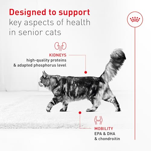 Feline Health Nutrition Aging 11+ Wet Cat Food (5.1 Ounce (Pack of 24) / Aging 11+)
