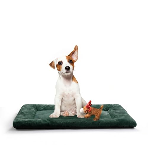 Dog Crate Pad Washable Dog Bed for Crate Medium Cozy Mat 30 (30.0"L x 19.0"W x 1.0"Th / Green)
