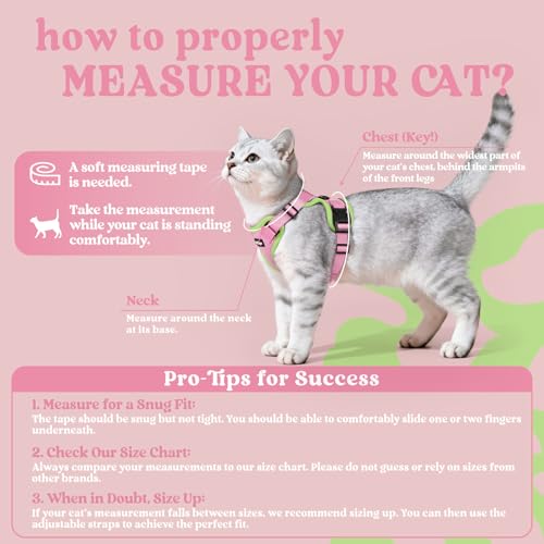 Cat Harness and Leash Set (M / Pink & Light Green)