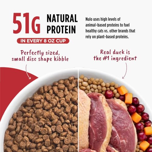 Freestyle Dry Cat Food Indoor (2 Pound (Pack of 1))