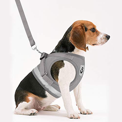 Cat Harness and Leash Set (S (Chest: 9" - 11") / Grey)