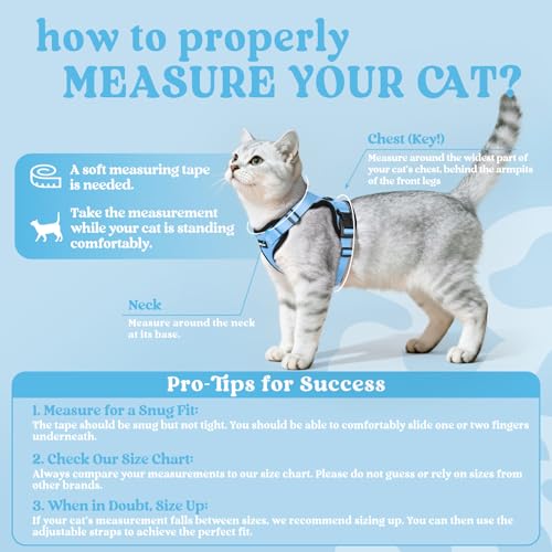 Cat Harness and Leash Set (Xs / Light Blue)