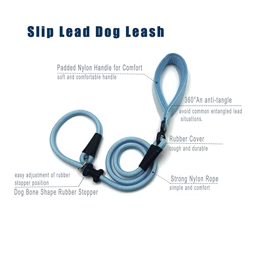 Slip Lead Dog Leash (1/2"×4ft / Light Blue)