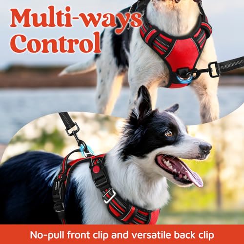 Dog Harness for Large (Red / X-Large)