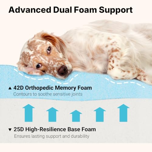 Orthopedic Dog Bed for Senior Dog (Gray / 52"L x 36"W x 7"Th)