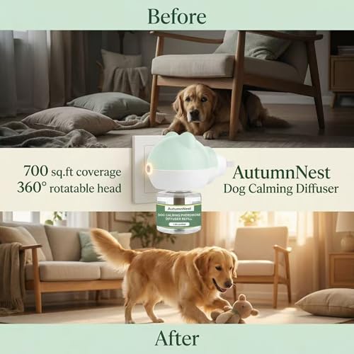 Dog Calming Diffuser Plug (Bear Diffuser (with Light))