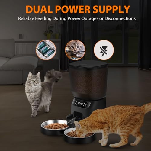 Automatic Cat Feeders for Two Cats (Black / Manual)
