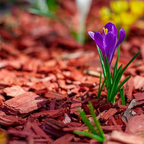 Premium Red Wood Mulch for Indoor (1.3 CF - 37 L - 39 QTS / Red Wood Mulch)