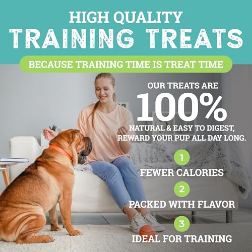 Sit Training Treats