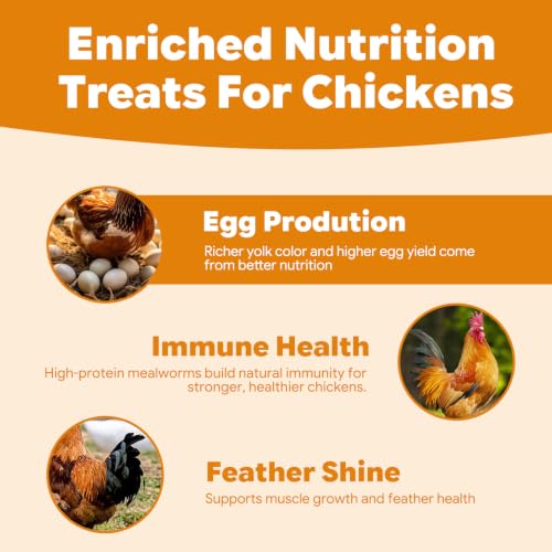 20lb Dried Mealworms for Chickens Duck High Protein Birds Treat (20 Pound (Pack of 1))