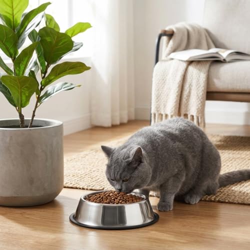 2 Pack Stainless Steel Dog Bowls (Stainless steel (2Pack) / 1 Cup/5.9" Dia x 1.5" H (2Pack))