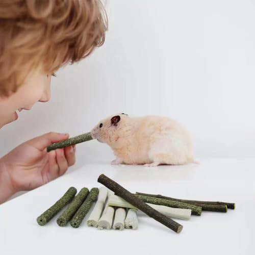 300g Guinea Pig & Rabbit Chew Toys with Apple & Timothy Sticks (300g)