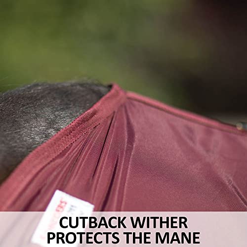 Dura Nylon Horse Stable Sheet (Horse Size 76 / Cutback | Closed Front | Legstrap / Teal)