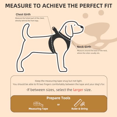 Adjustable Dog Harness Collar and Leash Set Step in No Pull Pet Harness for Small Medium Dogs Puppy and Cats Outdoor Walking Running (Beige / XS (CHEST 13"-14.5"))