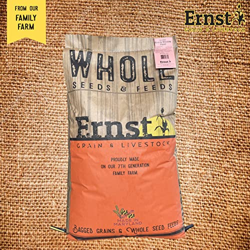 s Bird and Wildlife Feed (46 Pound (Pack of 1))