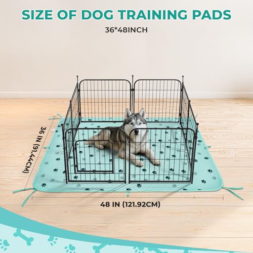 Washable Pee Pads for Dogs (Green / 36*48 Inch (Pack of 2))
