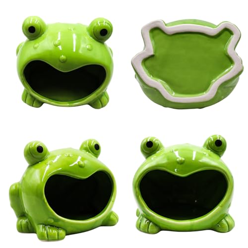Reptile Tank Accessories