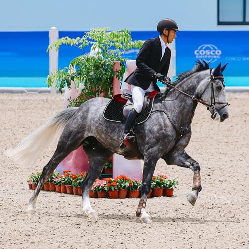 Dressage Saddle Pad English Sheepskin Trim for Horses Black Red (Black/Red)