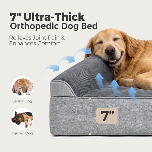 XXL Orthopedic Dog Bed for Large Senior Dogs 52 x 36 x 7 Inch (Twill Cover Grey / XX-Large)