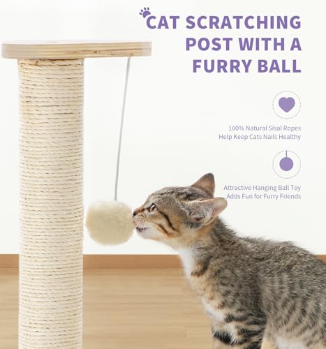 Made4Pets Kitten Toy Scratching Post for Indoor Cats with Ball Track (17.7"H)