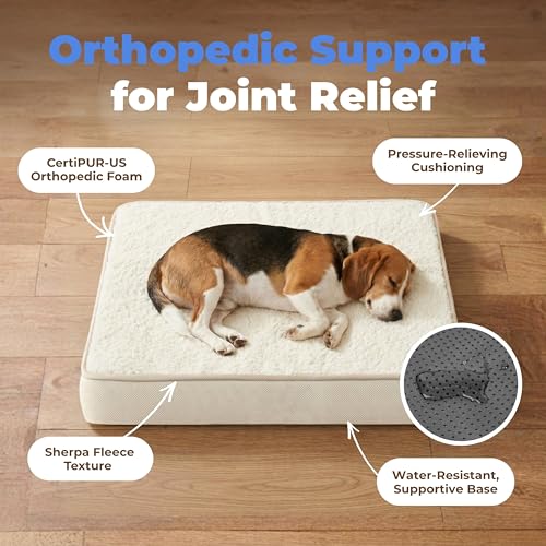 Orthopedic Dog Bed with Memory Foam (Beige / 30" x 20" x 3")