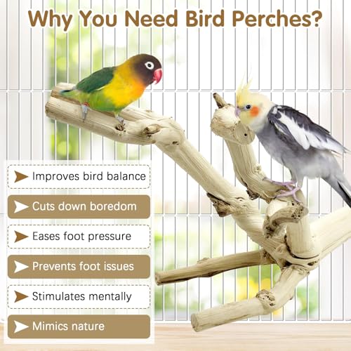 Bird Perch Stand 10"
