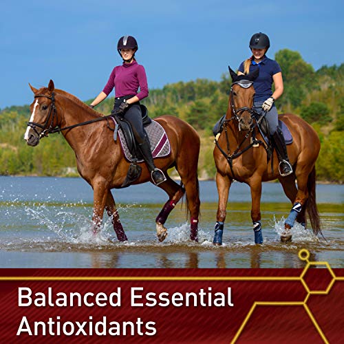 Pro E & Selenium Supplement for Horses (320 Day Supply, 20 Pound)