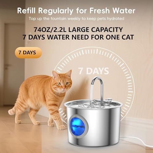 Cat Water Fountain Advanced 304 Stainless Steel 2.2L
