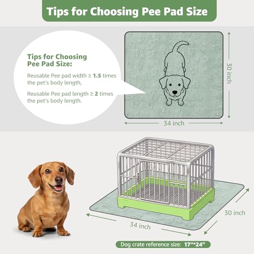 4 Pack Washable Pee Pads for Dogs (Green Dog Element / 30"x34"(Pack of 4))