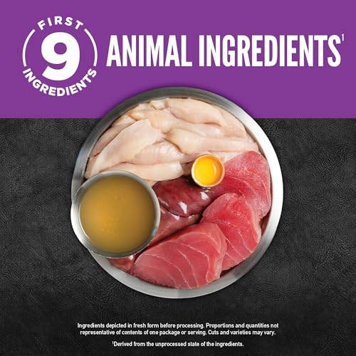 Chunks & Shreds Wet Cat Food Kitten Entrée 5.5oz Cans (5.5 Ounce (Pack of 6))