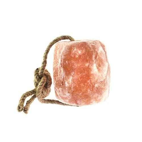 Himalayan Salt Lick 6 lbs On Rope for Horse (6 Pound (Pack of 1))