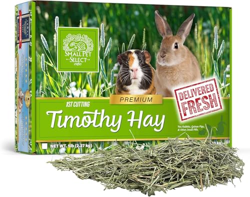 1st Cutting Timothy Hay (5 Pound (Pack of 1))