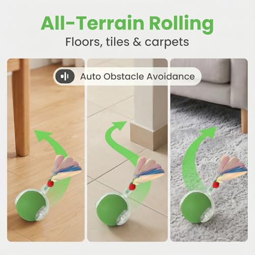 Interactive Cat Toy for Indoor Cats (Green)