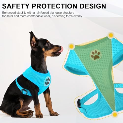 Small Dog Harness (S (NECK: 12", CHEST: 14"-18") / Royal Blue)