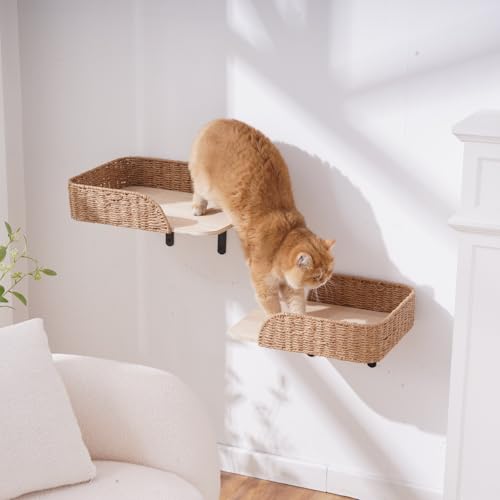 2 Pack Wall Mounted Cat Bed Perch (F)