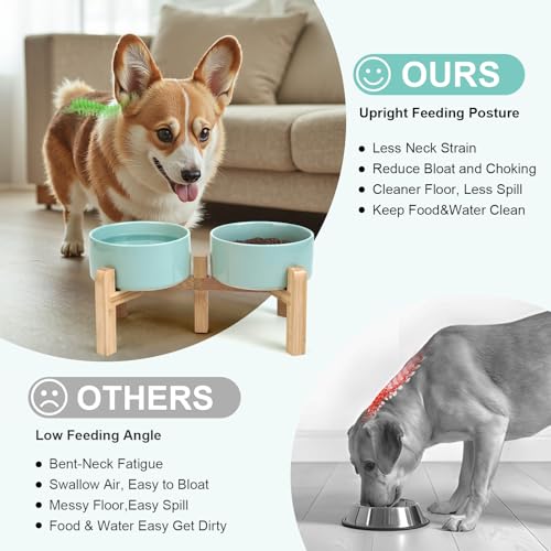 Elevated Dog Bowls Ceramic (6.1 in - 3.6 cups / Light Green)