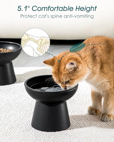 2 Pack Extra Wide Elevated Cat Bowls (Black)