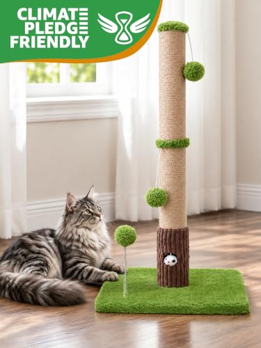 Funny Cat Scratching Posts Sturdy Scratcher Posts 33'' Green (Green / 33‘’)